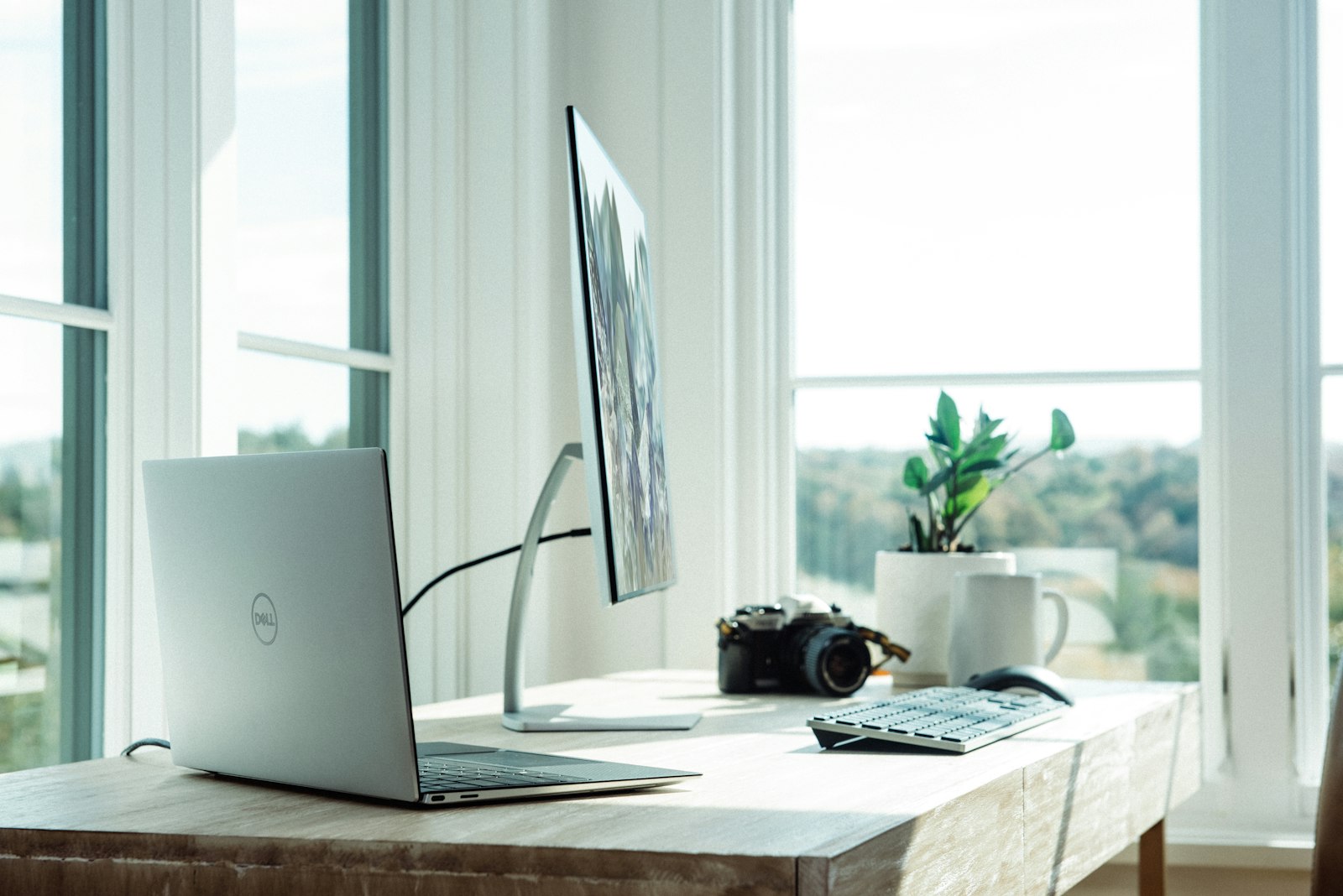 Best Monitor Arms and Laptop Stands for Home Office in 2026